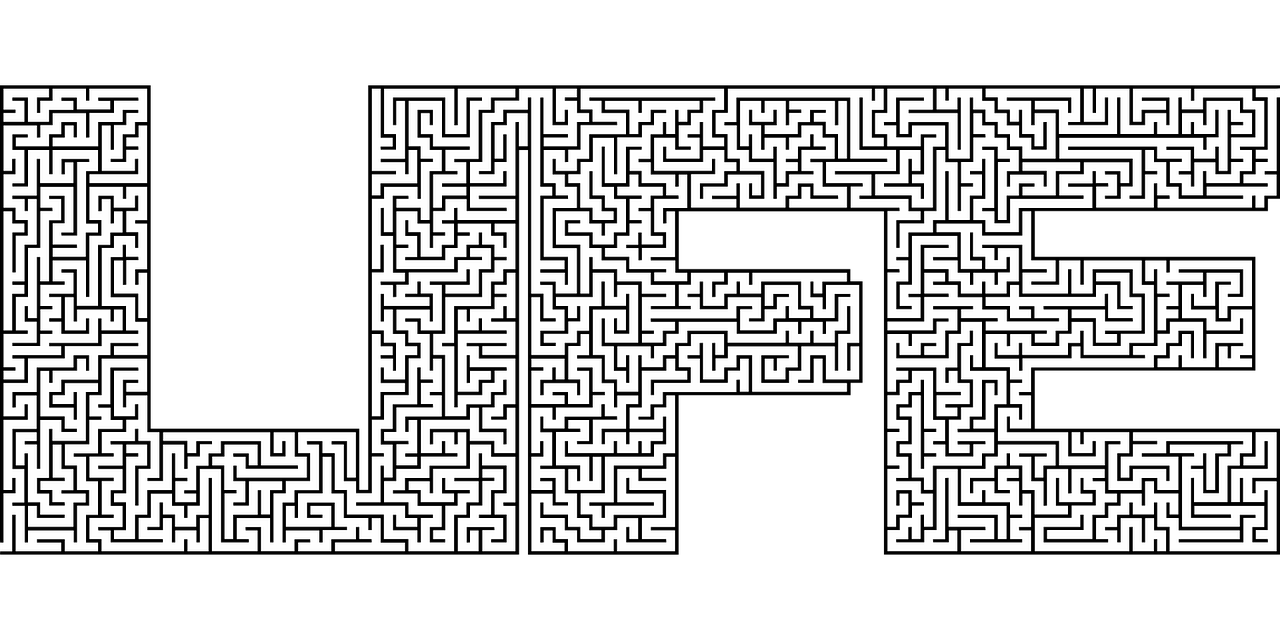 The Maze of Life